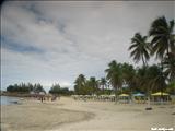 El Muelle Casi Pesca - ARECIBO